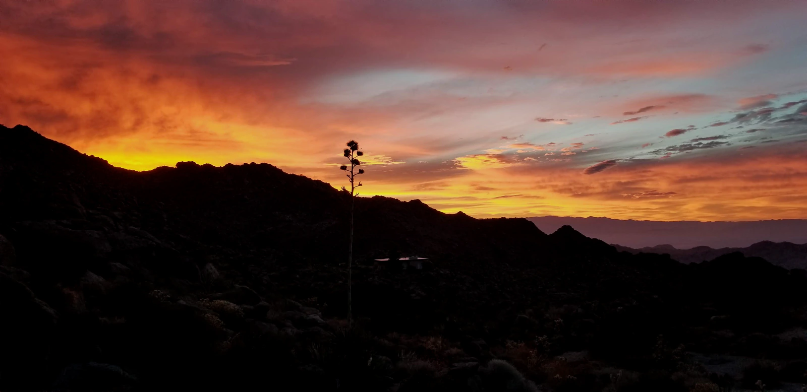 Evening light across the Coachella Valley from Viva Las Rocas